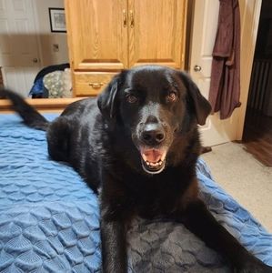 Meet your Posher, Janet